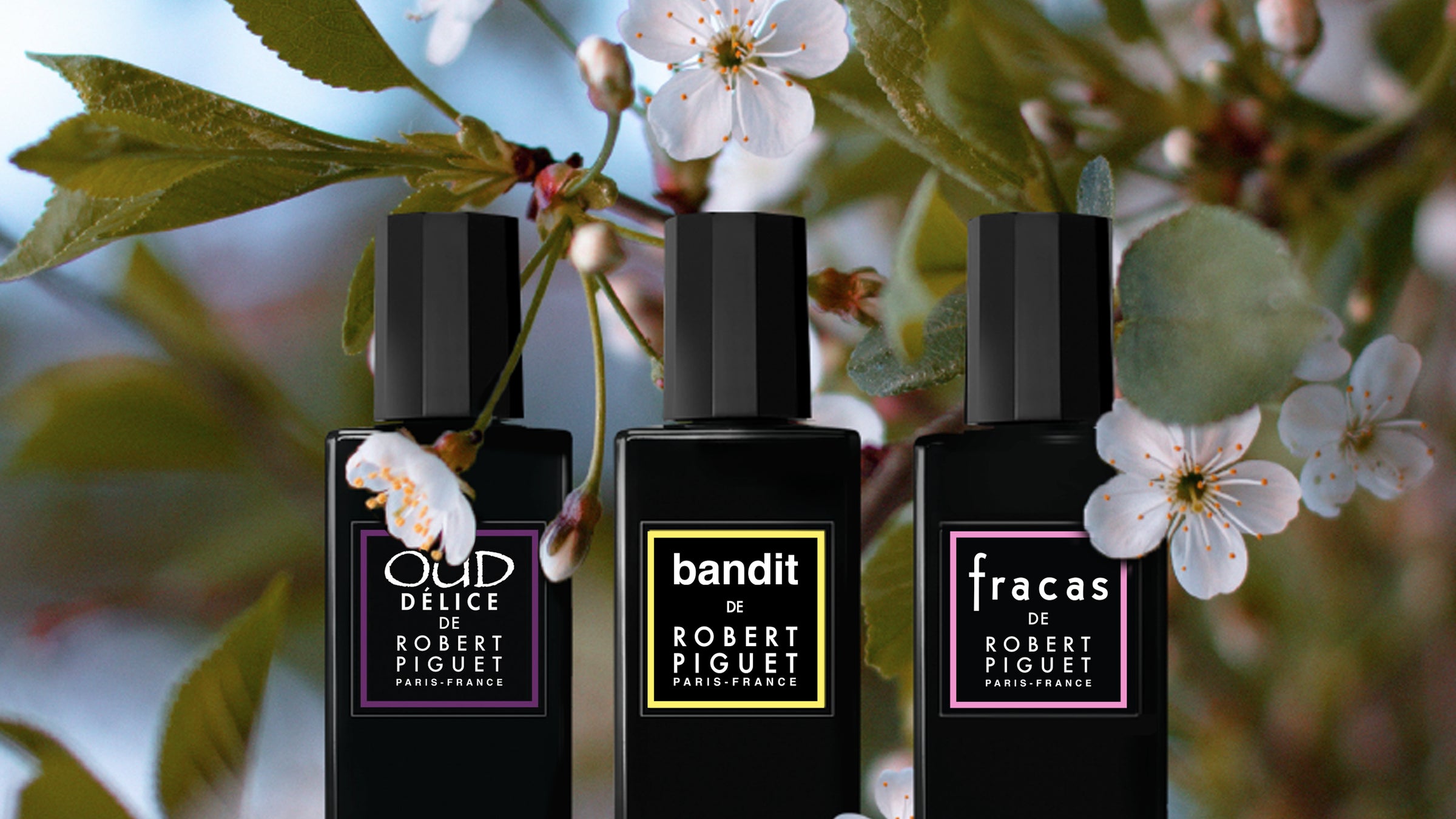 Fragrances Oud Delice, Bandit Supreme, and Fracas on a background of white flowering tree