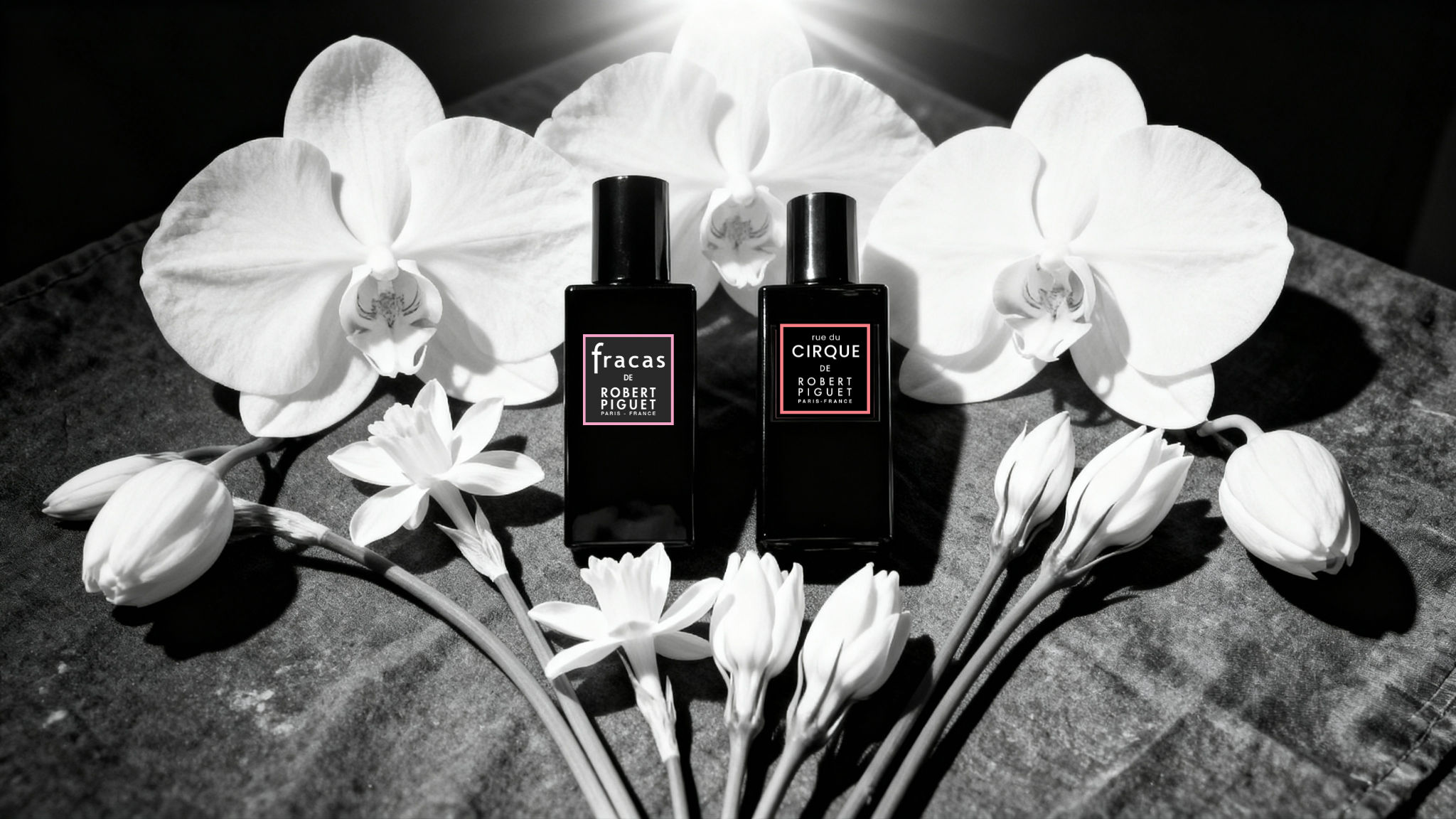 rue du cirque and fracas perfume bottles surrounded by white flowers with pink background